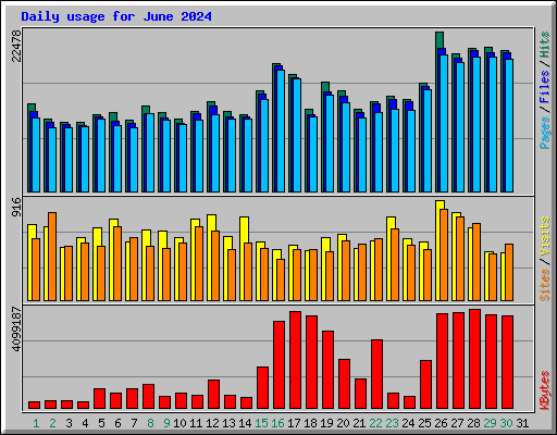 Daily usage for June 2024