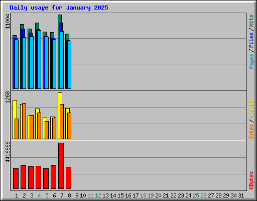 Daily usage for January 2025