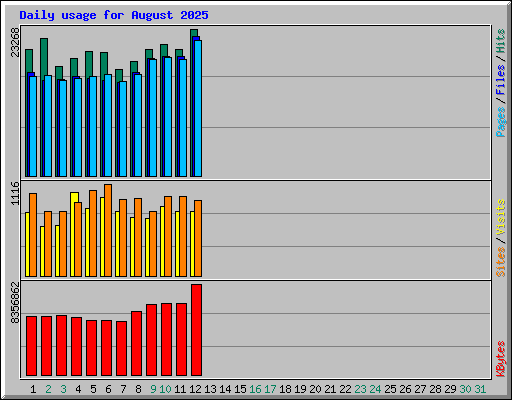 Daily usage for August 2025