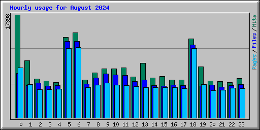 Hourly usage for August 2024