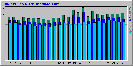 Hourly usage for December 2024