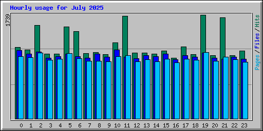 Hourly usage for July 2025