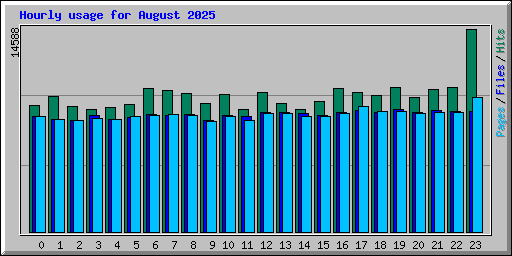 Hourly usage for August 2025