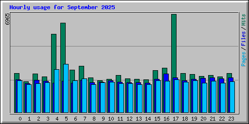 Hourly usage for September 2025
