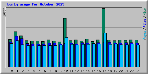 Hourly usage for October 2025