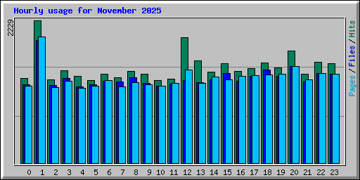 Hourly usage for November 2025