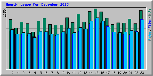 Hourly usage for December 2025