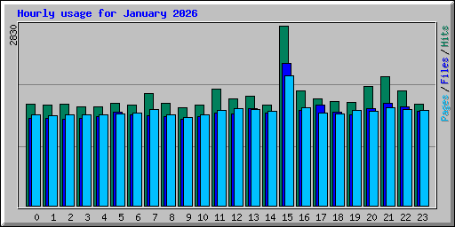 Hourly usage for January 2026