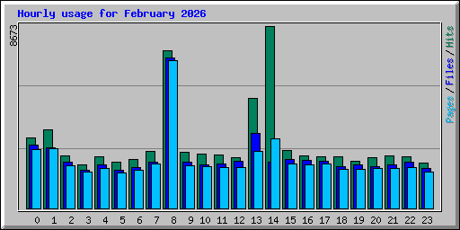 Hourly usage for February 2026